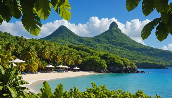Ekoloc : votre partenaire de confiance pour explorer la martinique